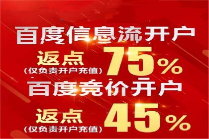 成功案例解析：SEM竞价托管的优化之路